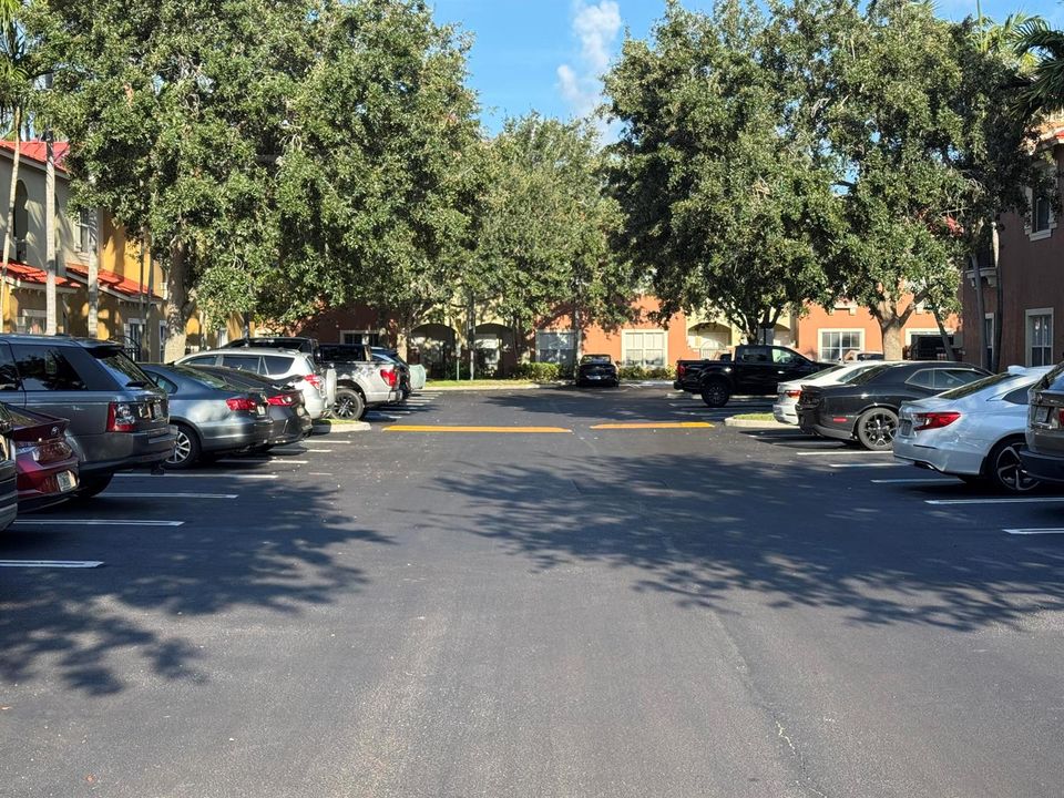 Exterior Grounds