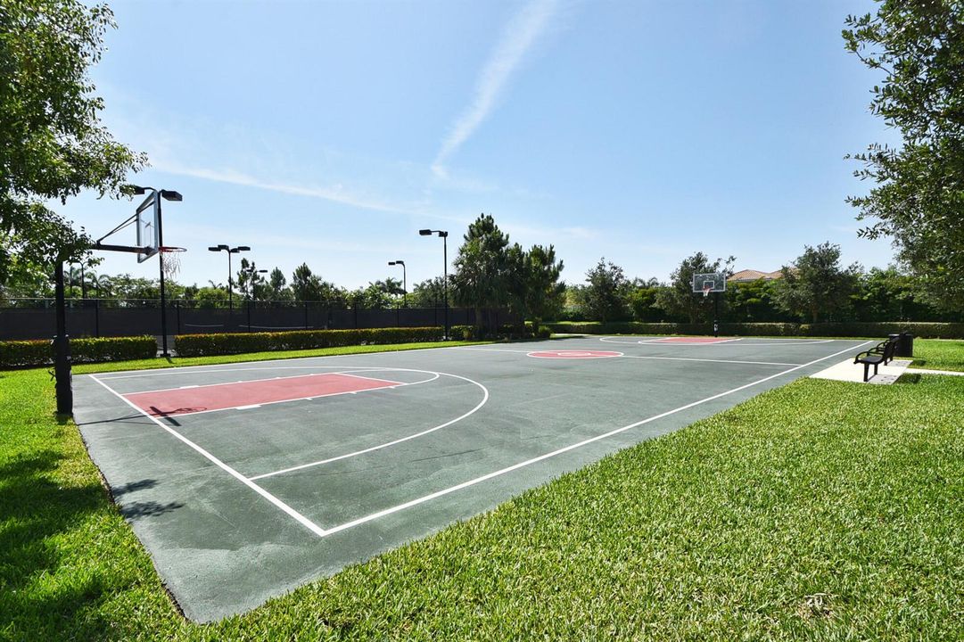 Basketball Court