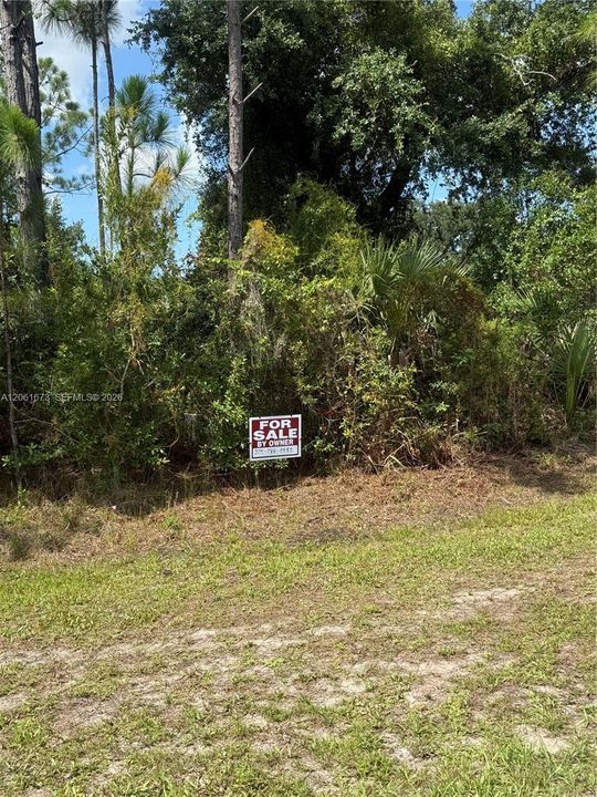 En Venta: $25,900 (0.26 acres)