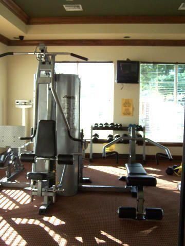 Gym 2