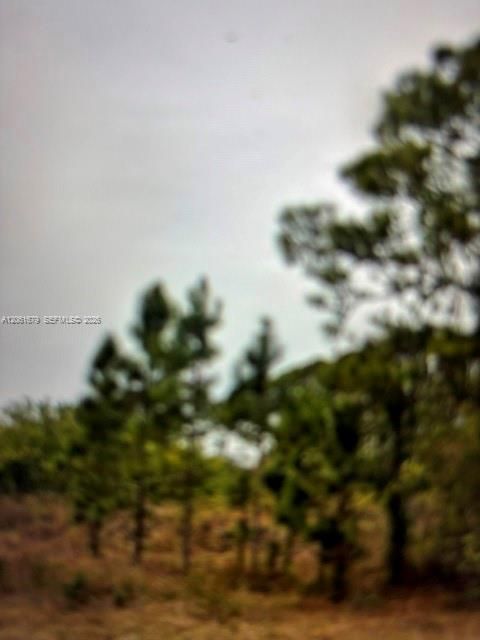For Sale: $25,000 (0.23 acres)