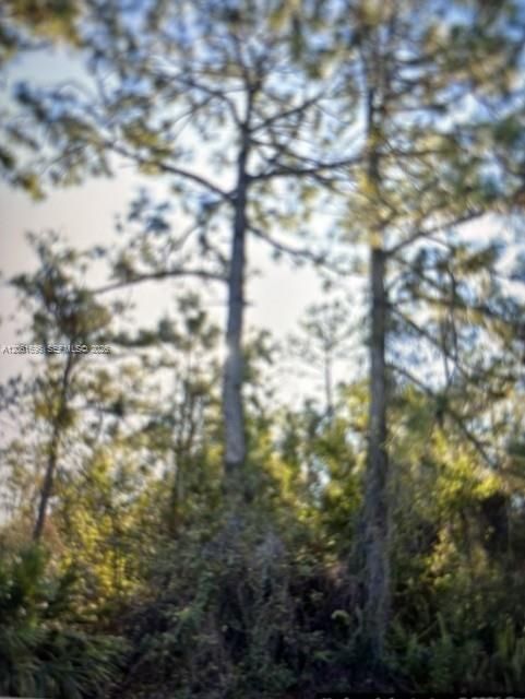 For Sale: $25,000 (0.23 acres)