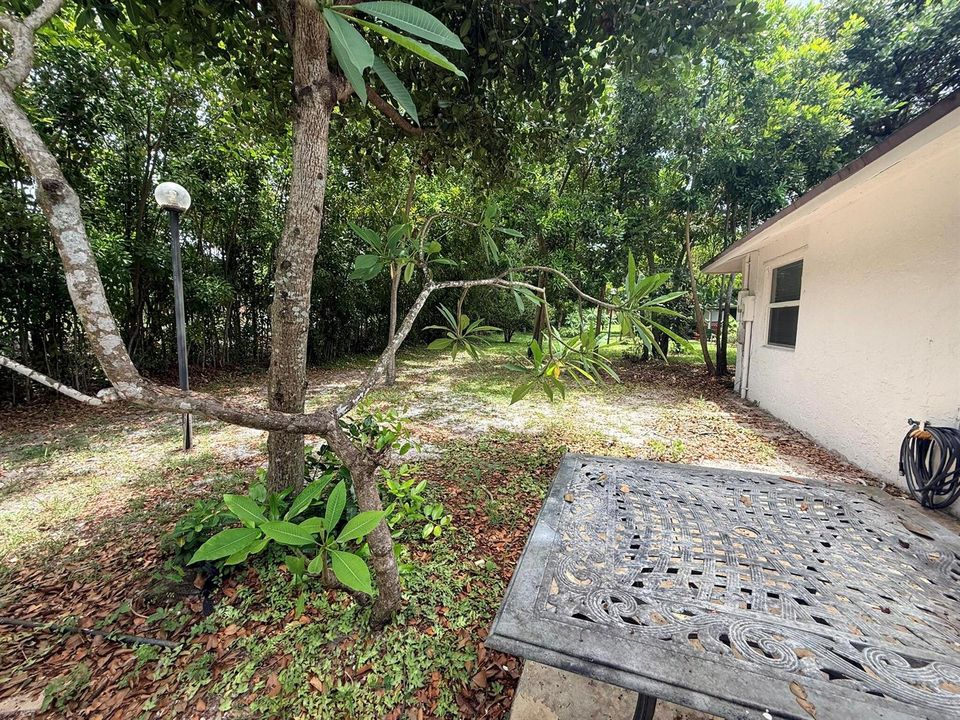 Private Outdoor Oasis