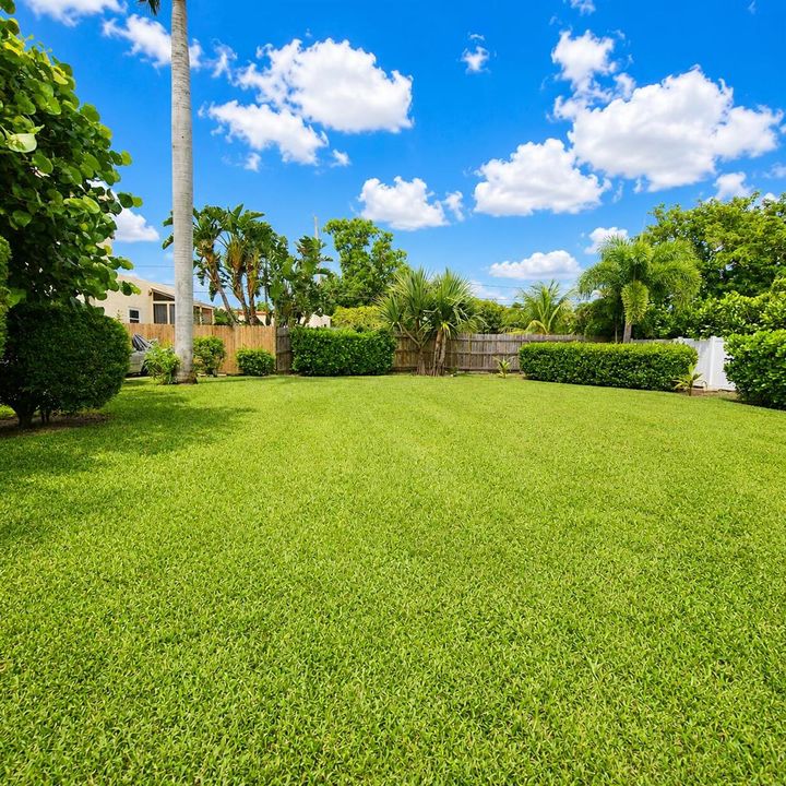 yard