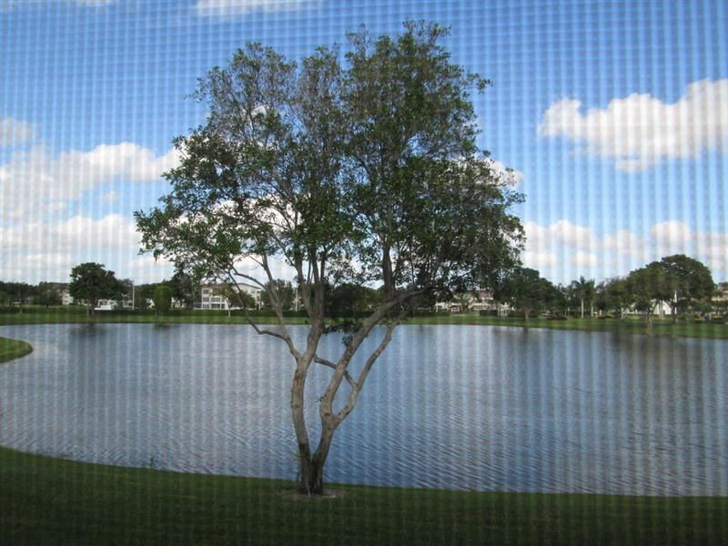 WOLVERTON D - POOL