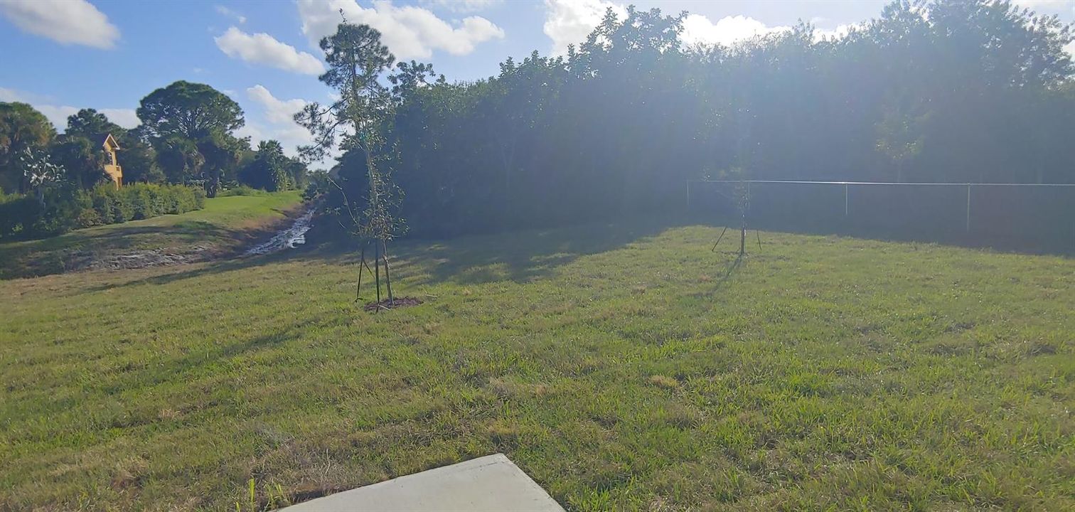 Backyard 1