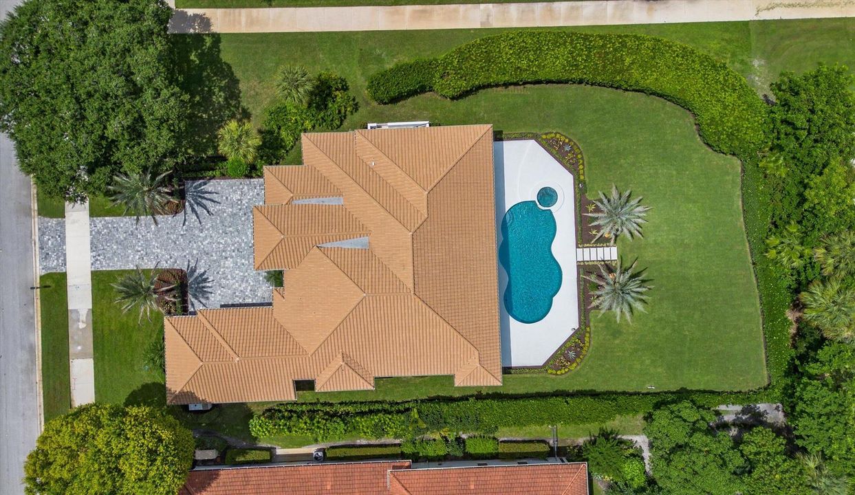 aerial view