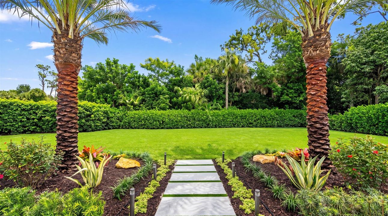 Newly landscaped hedged yard