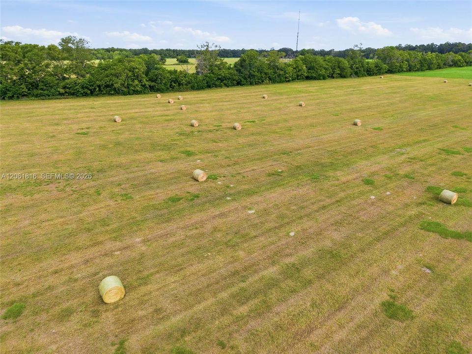En Venta: $9,500,000 (104.96 acres)