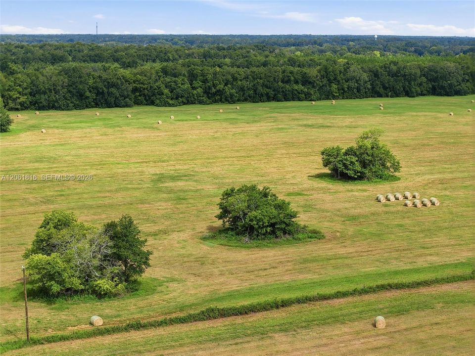 En Venta: $9,500,000 (104.96 acres)
