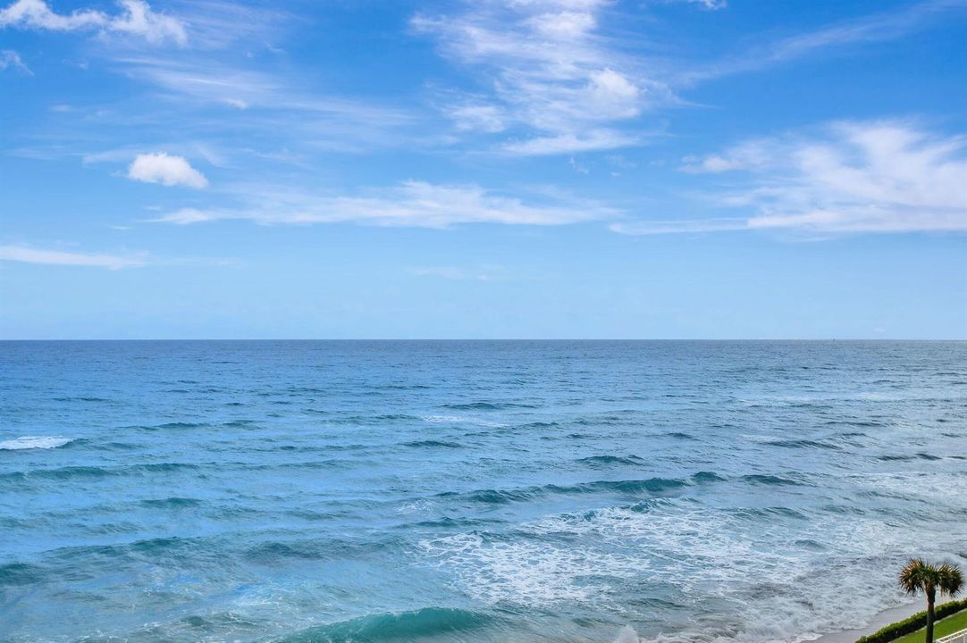 ocean View