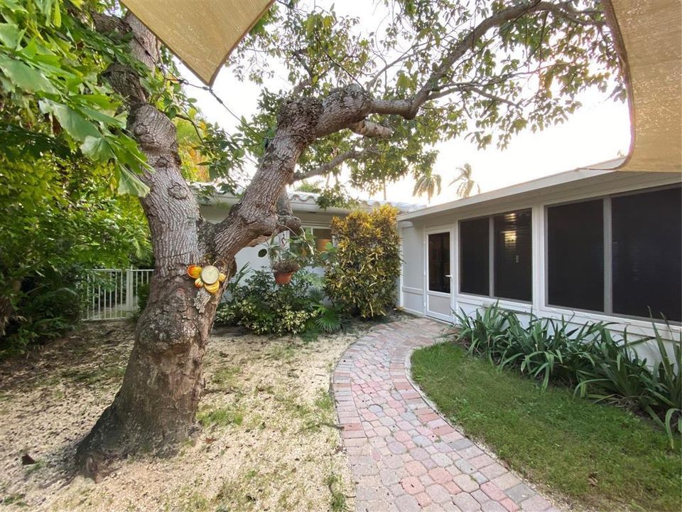 back_patio_hollywood_nieves_group