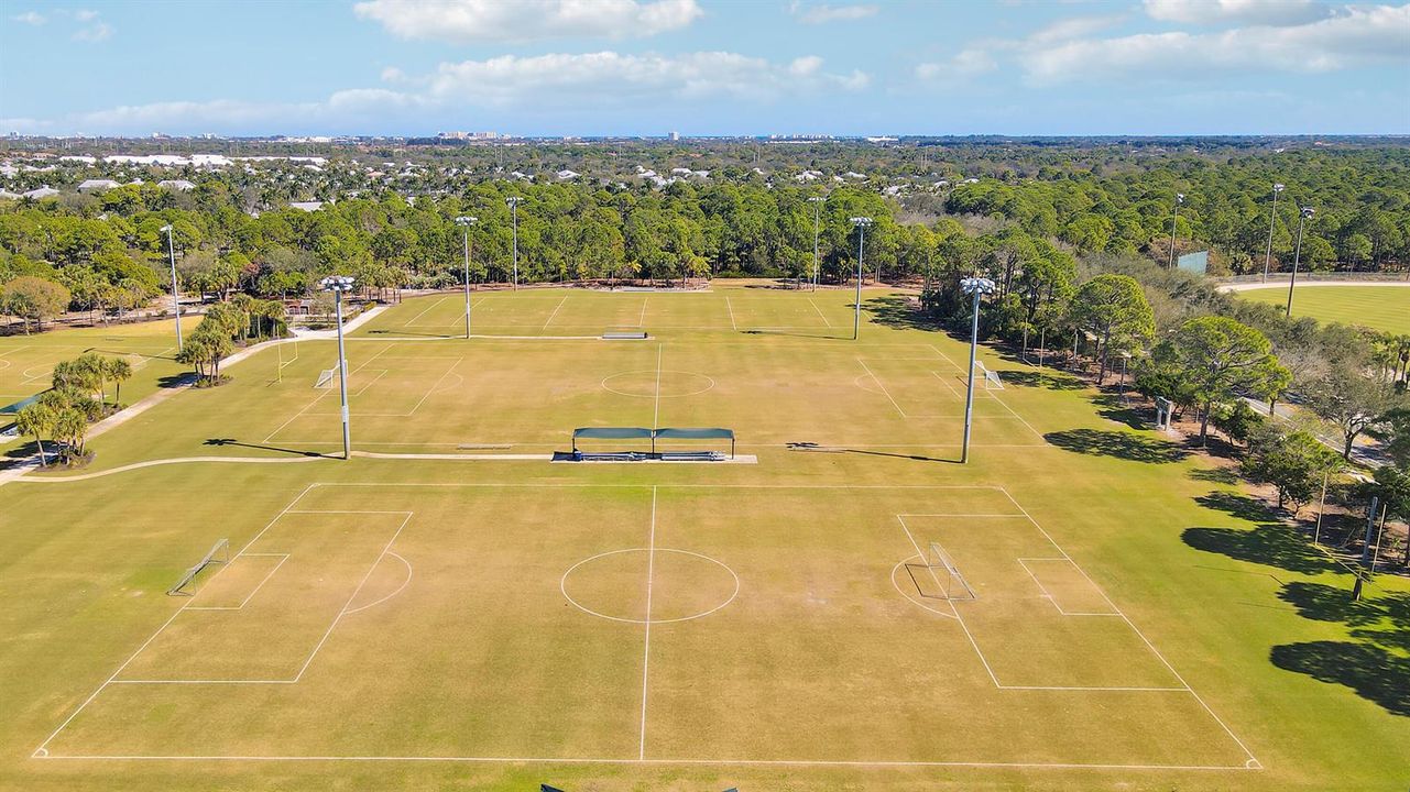 Football and Soccor Field
