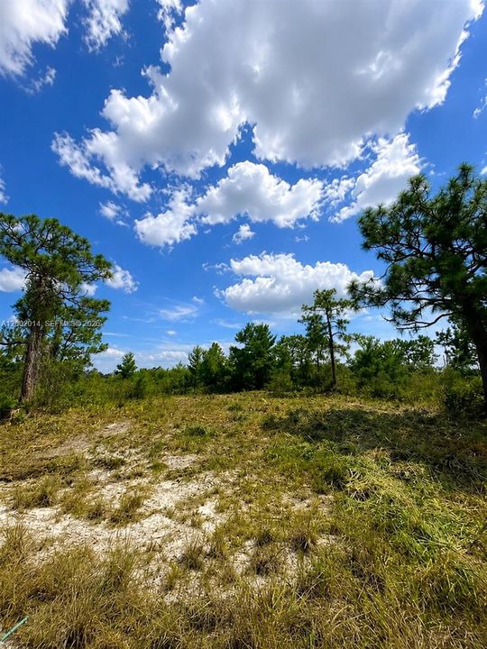 En Venta: $16,000 (0.23 acres)