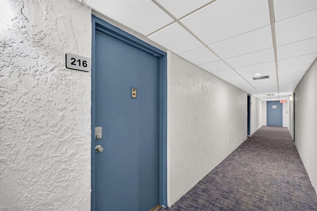 7-web-or-mls-A699A9857