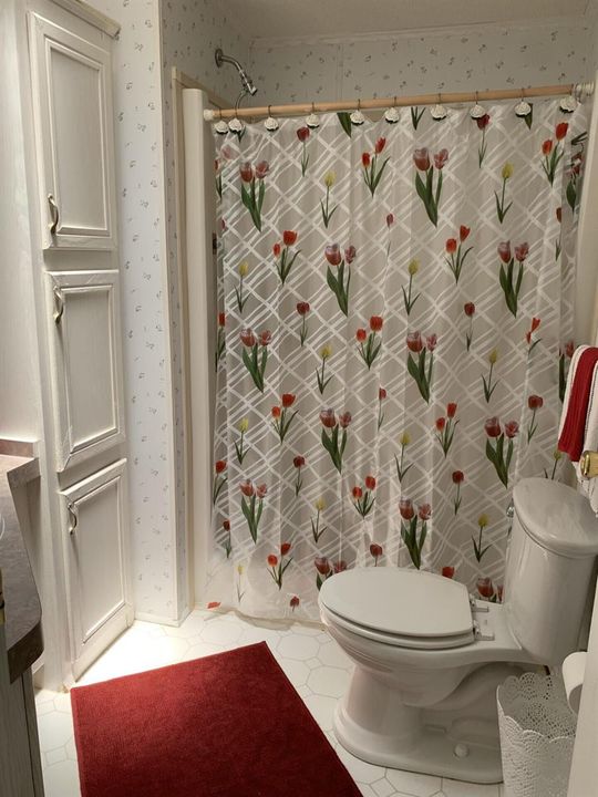 Guest Bath with Skylight