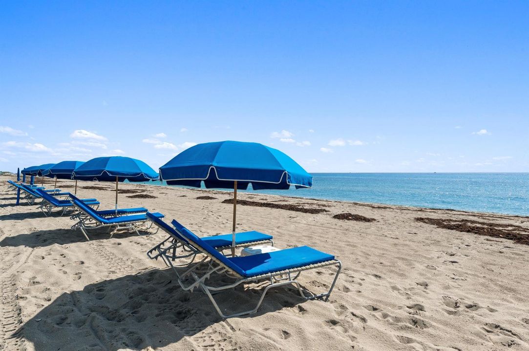 20. Beach Services