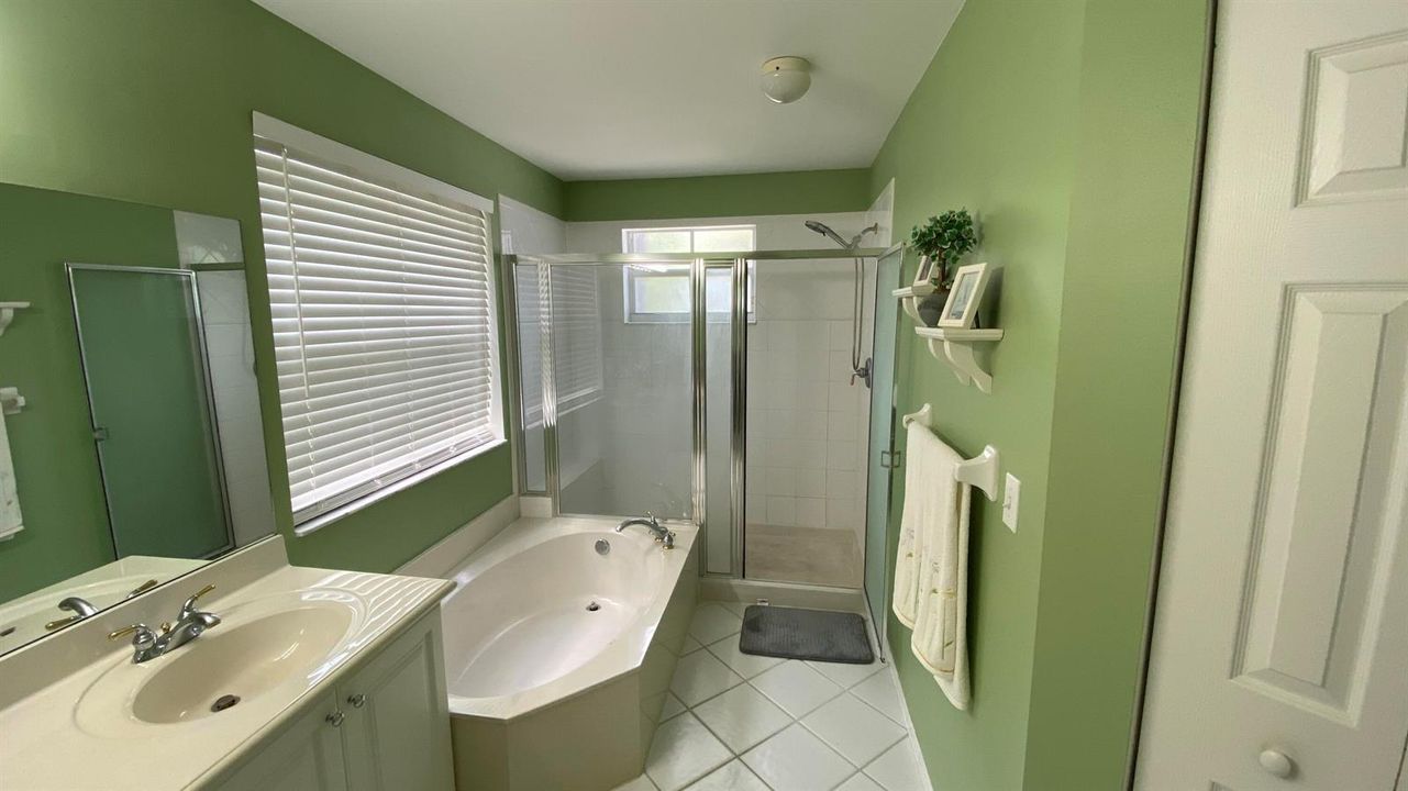 Master Bath 1