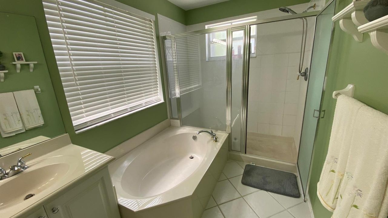 Master Bath 2