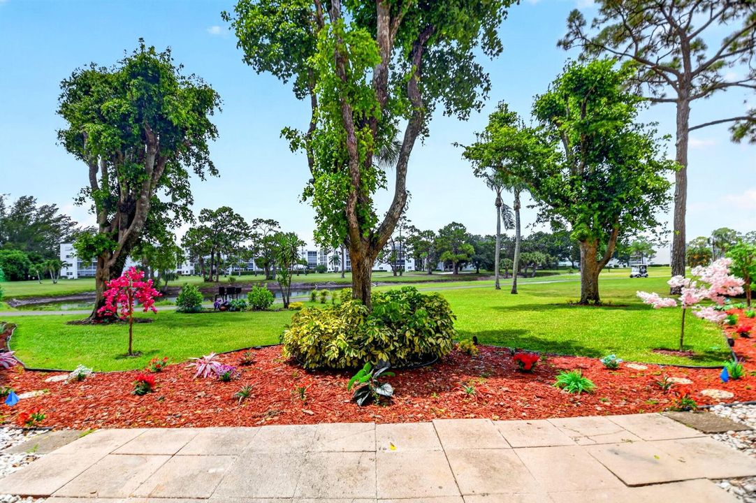 Grounds