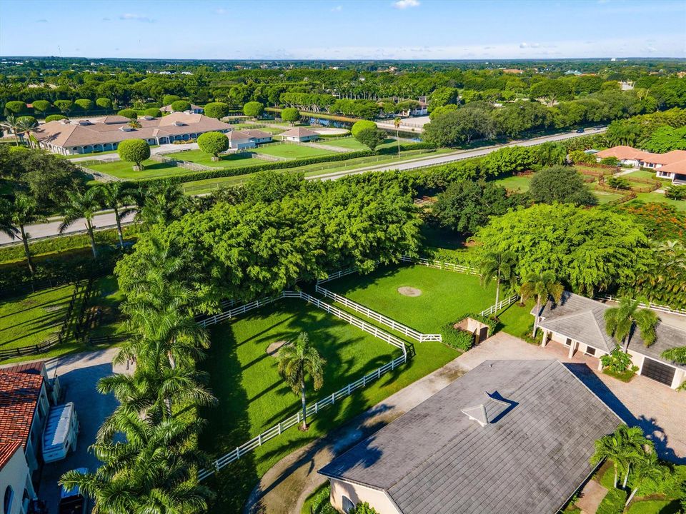 08-DJI_0099