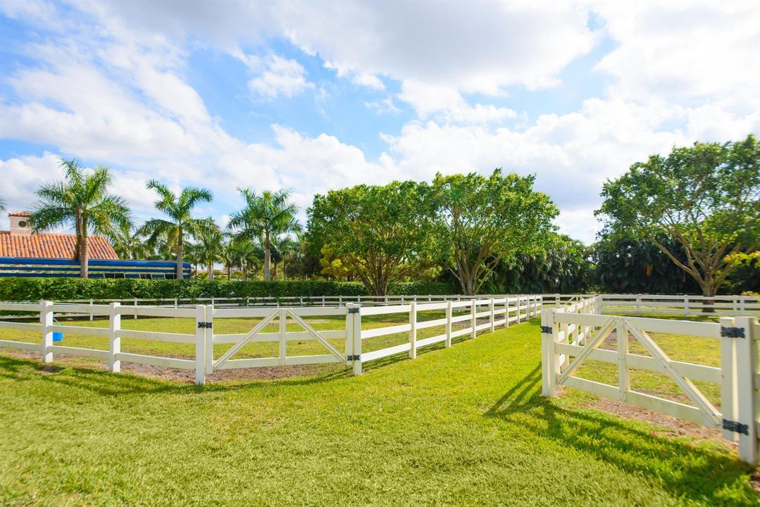 rear paddocks