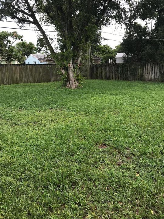 yard1