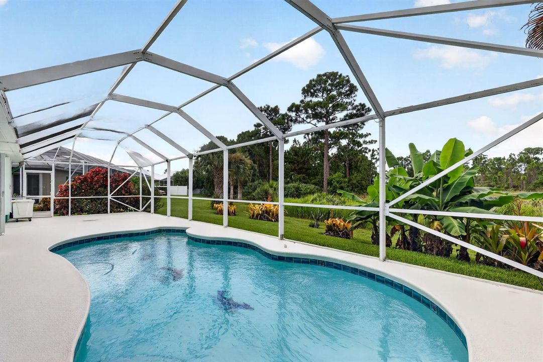 59-web-or-mls-5P1A1658
