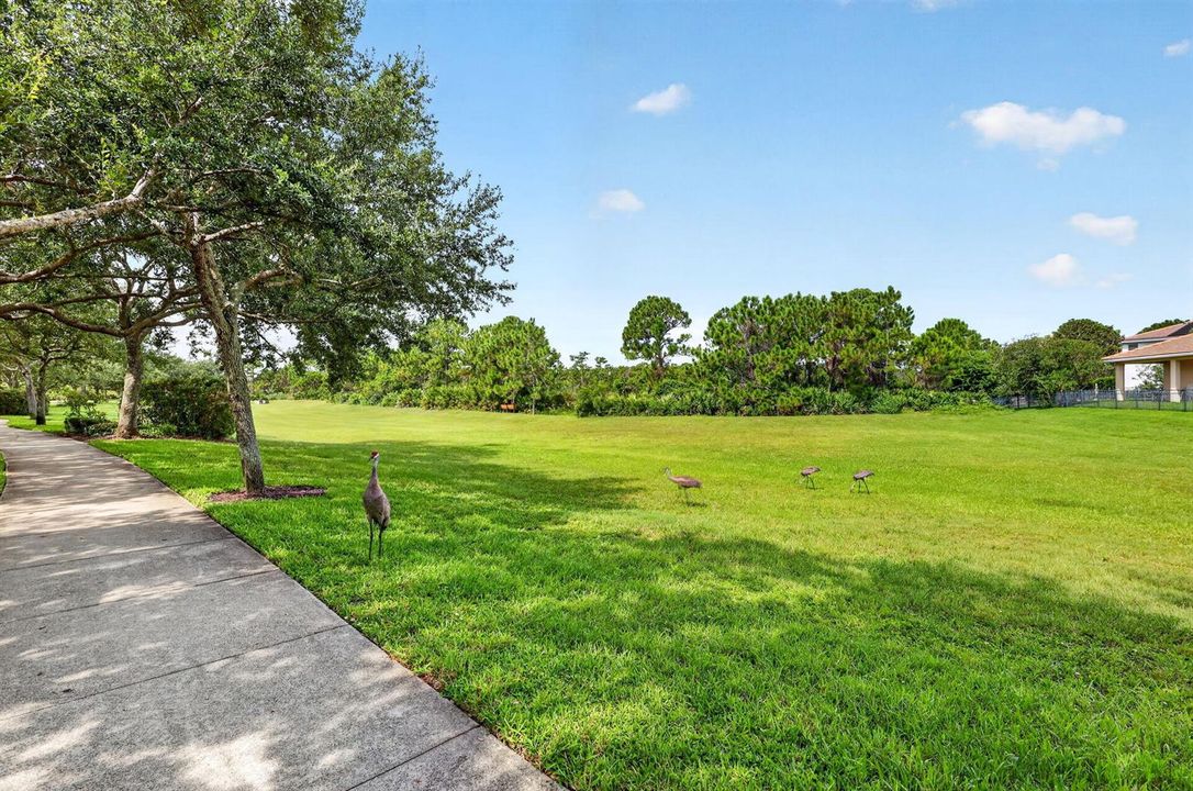 69-web-or-mls-5P1A1746