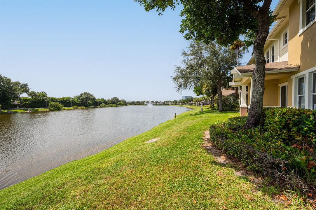 lake view