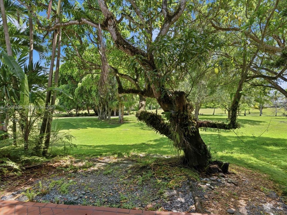 En Venta: $625,000 (2 camas, 2 baños, 1780 Pies cuadrados)