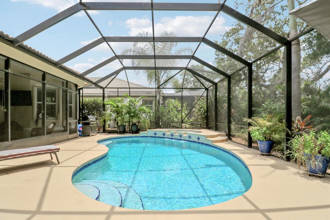 Pool & Spa
