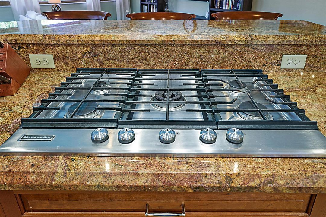Gas range