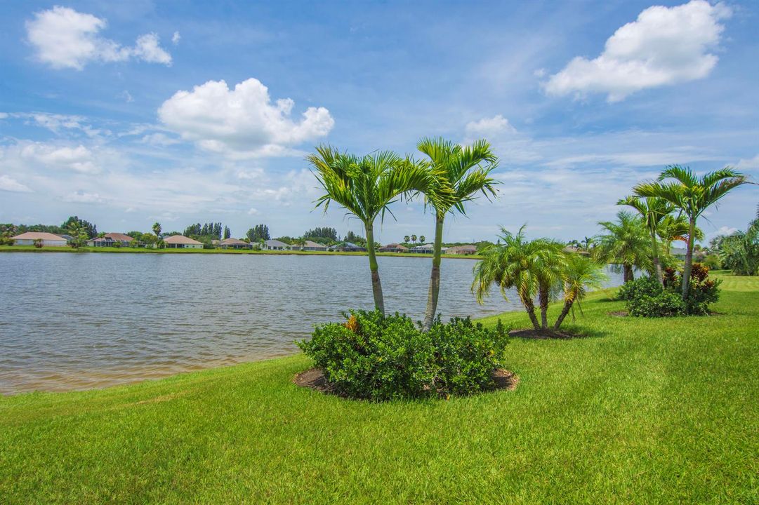 Image00016