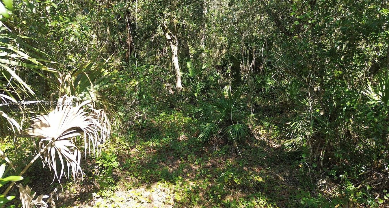 En Venta: $28,500 (0 camas, 0 baños, 0 Pies cuadrados)