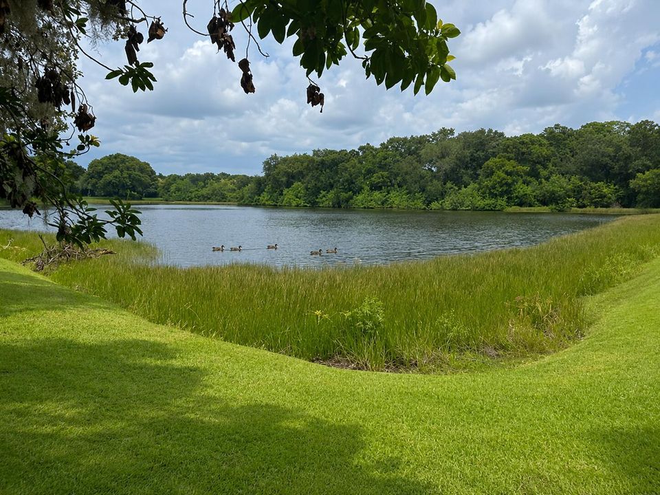 lake