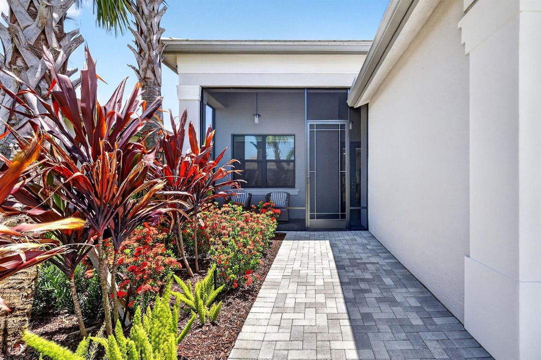 5-web-or-mls-5P1A8097