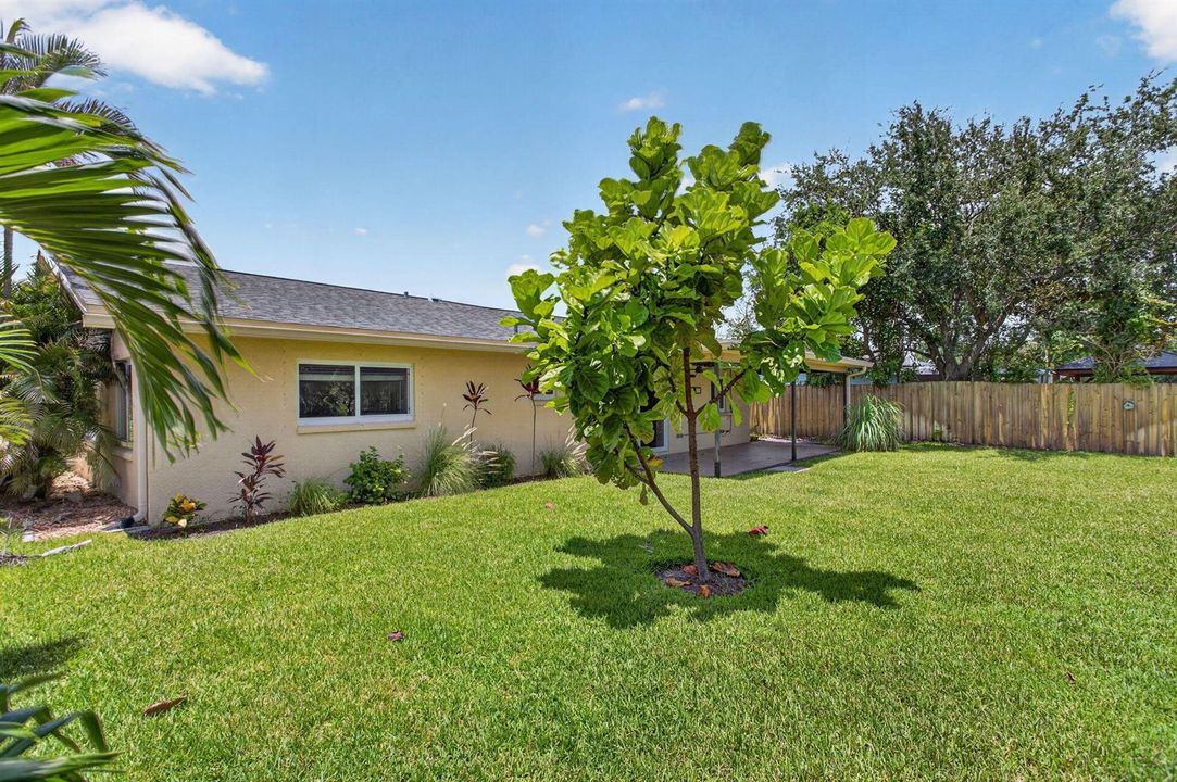 8-web-or-mls-6410-3932