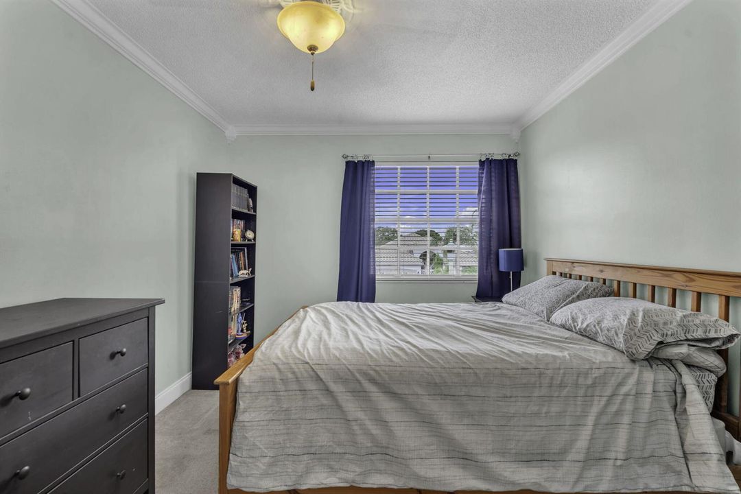 36-web-or-mls-DSC03617
