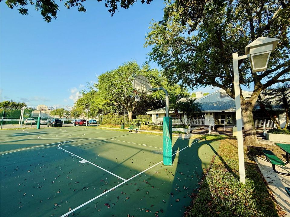 Basketball Court