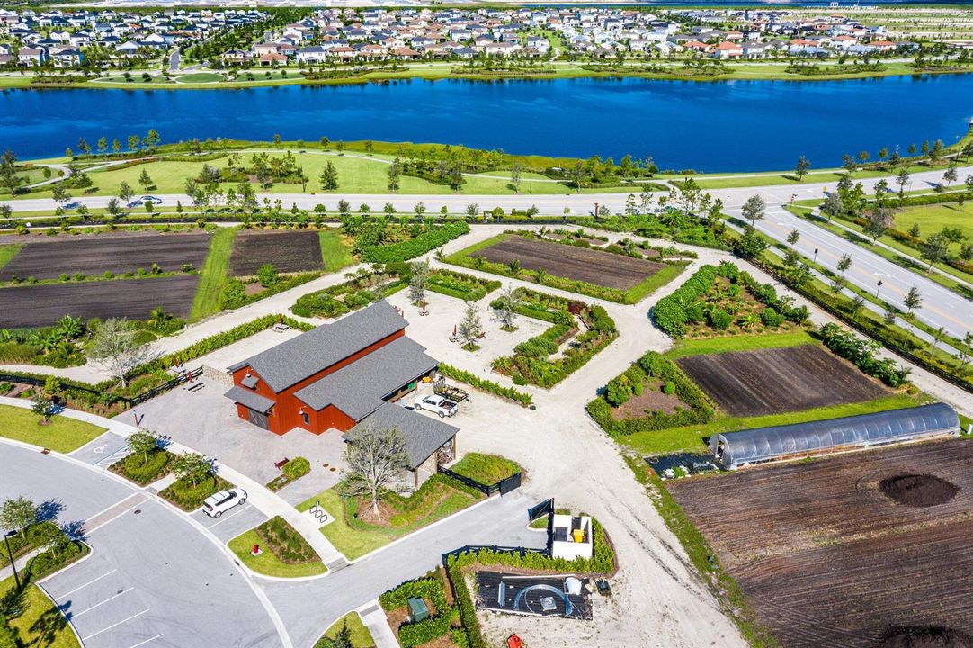 COMMUNITY AREA