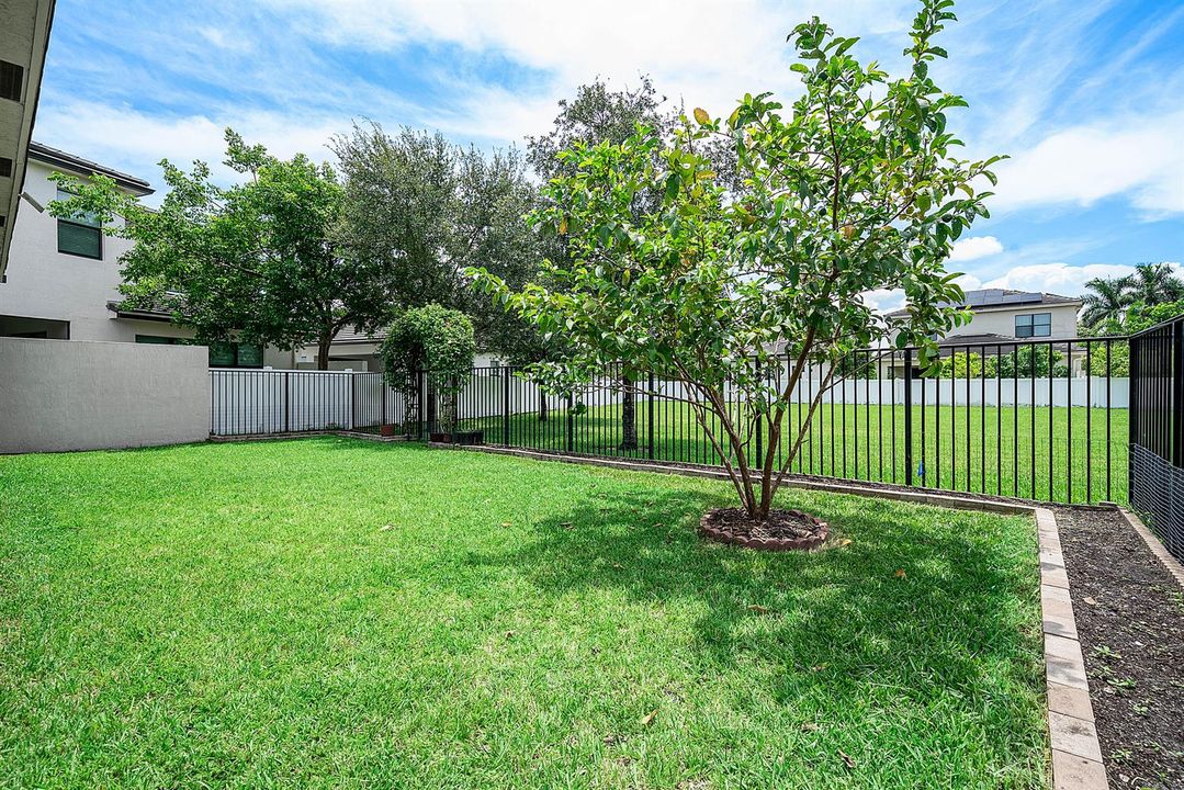 Yard