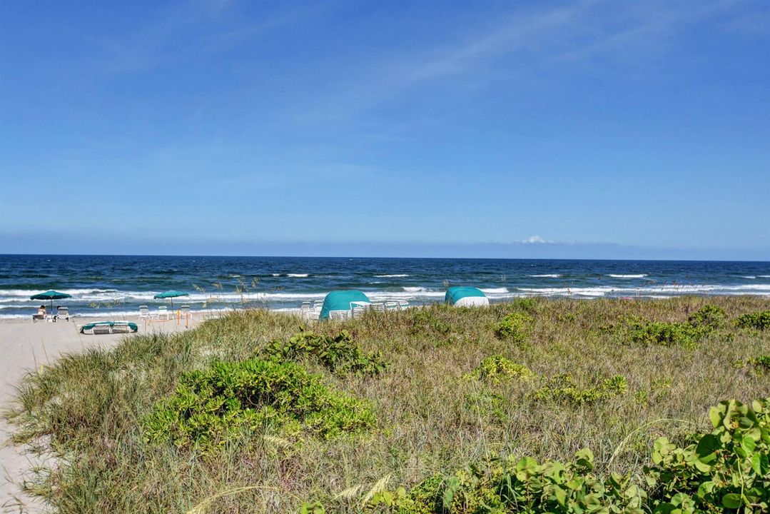 Your Private Beach