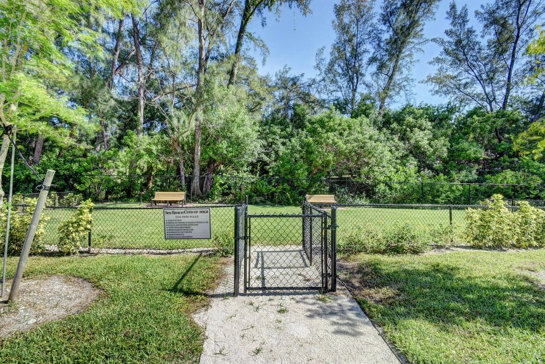 Dog Park