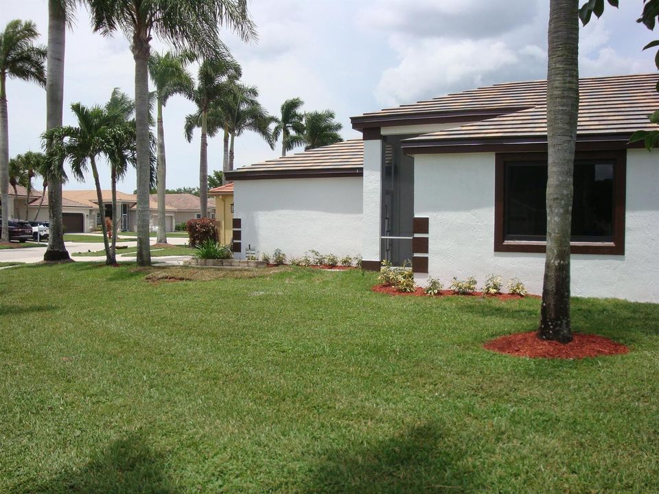 Side View