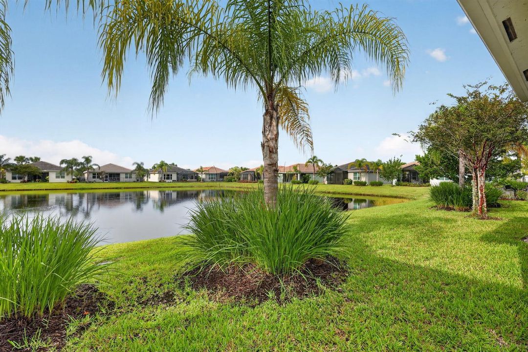 Pond View