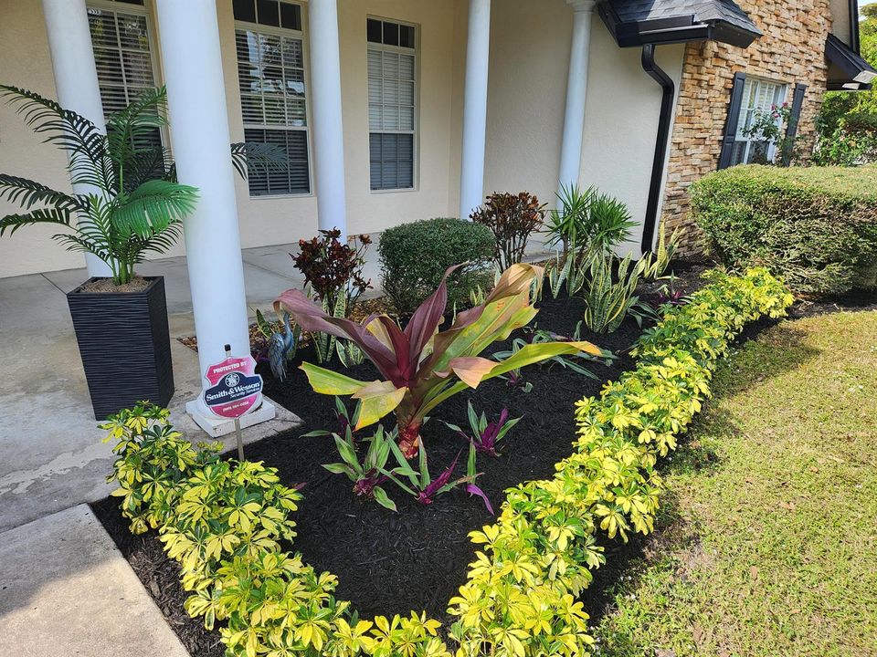Front yard2