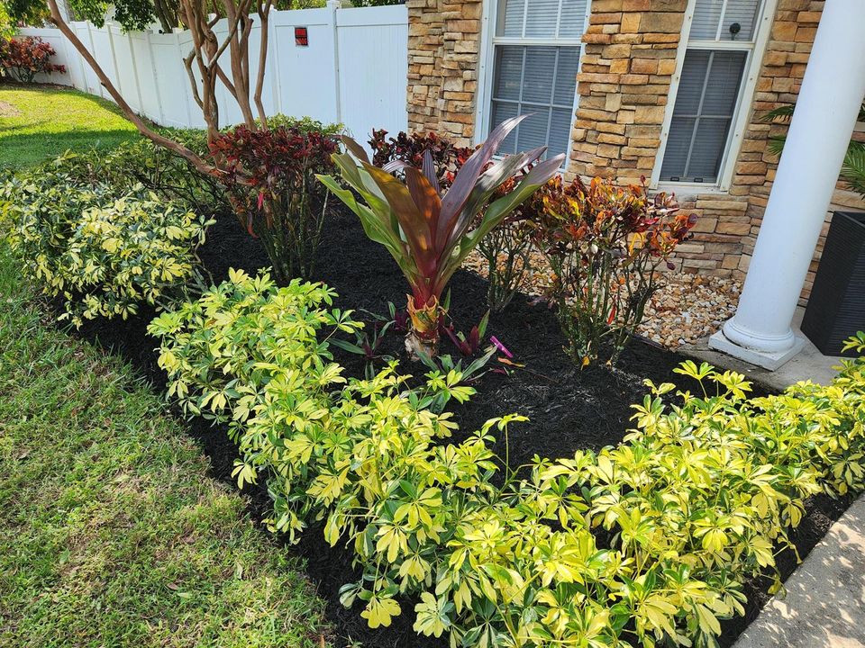 Front Yard1