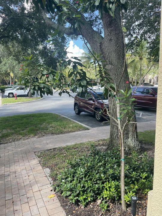 2729 ANZIO CT 35