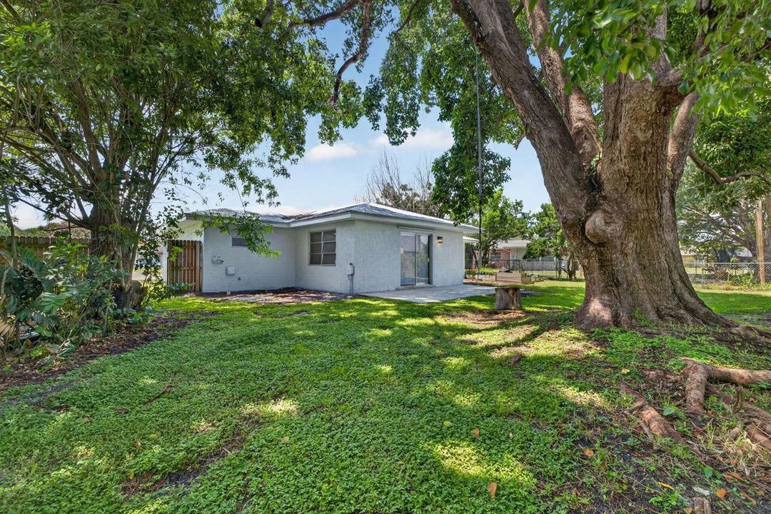 33-web-or-mls-3A5A7265